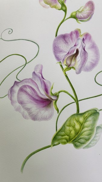 Dodatkowy obraz 5: Kolorowy Wnętrza Fotografia "Walc płatkowy", fotograf Tetiana Vlasenko 