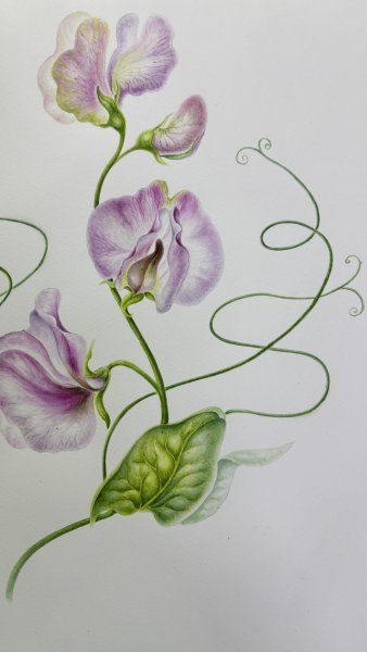 Dodatkowy obraz 6: Kolorowy Wnętrza Fotografia "Walc płatkowy", fotograf Tetiana Vlasenko 