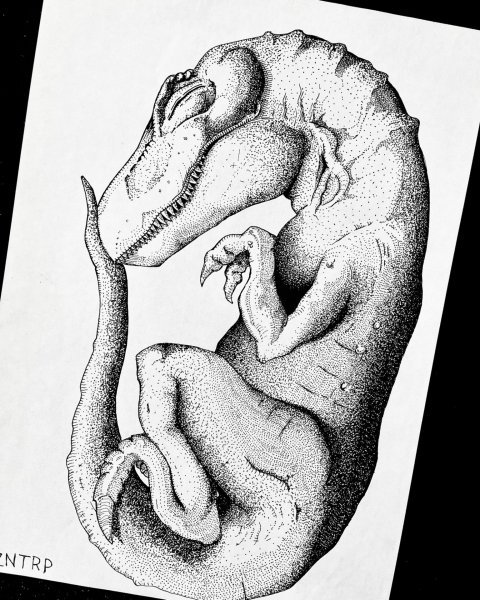 Additional view 1: Conceptual Mythological Drawing Child by illustrator MZNTRP drawing ink paper 