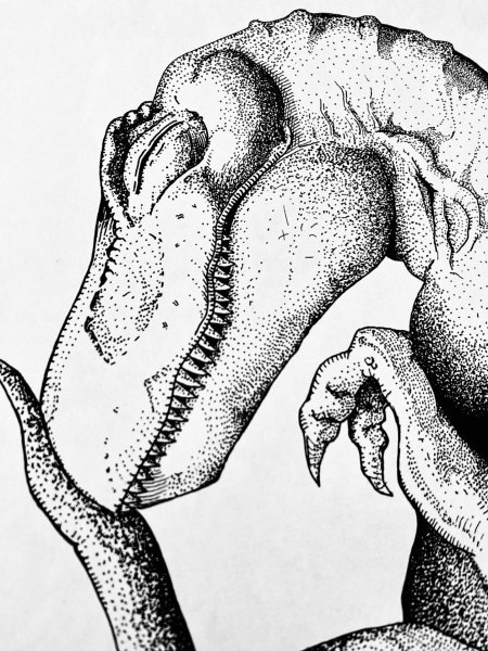 Additional view 3: Conceptual Mythological Drawing Child by illustrator MZNTRP drawing ink paper 