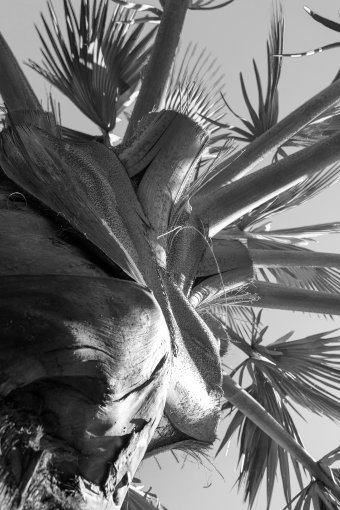 Фотографія "Природа, що надихає", фотограф Sergio Luiz Cerezer Benetti Sergio в Jose Art Gallery