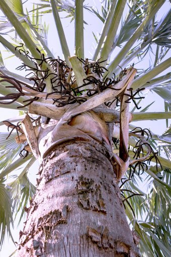 Фотографія "Природа, що надихає", фотограф Sergio Luiz Cerezer Benetti Sergio в Jose Art Gallery