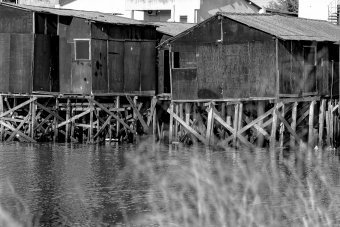 Fotografia "Palafitte brasiliane: fotografia architettonica", fotografo Sergio Luiz Cerezer Benetti Sergio alla Jose Art Gallery