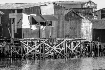 Фотографія "Бразильські будинки на палях: сучасна фотографія", фотограф Sergio Luiz Cerezer Benetti Sergio в Jose Art Gallery