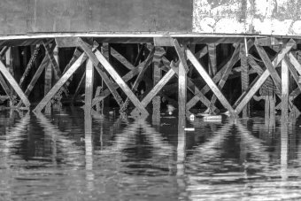 Fotografía "Arquitectura tropical", fotógrafo Sergio Luiz Cerezer Benetti Sergio en Jose Art Gallery