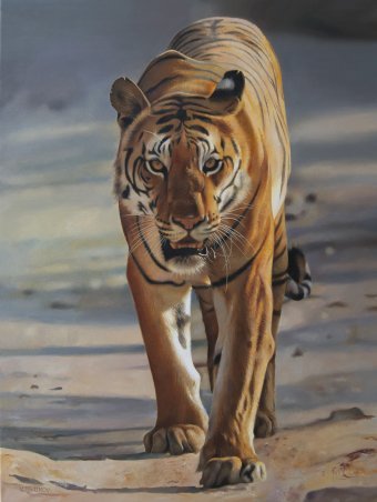 Pittura "Arte iperrealista dello sguardo della tigre", pittore Valeri Tsvetkov olio tela alla Jose Art Gallery