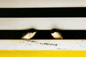 Фотографія "Сліди вітру", фотограф Sergio Luiz Cerezer Benetti Sergio в Jose Art Gallery