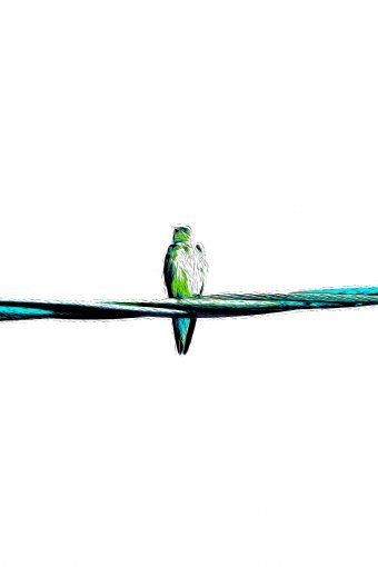 Digitale Kunst "", digitale/-r künstler/-in Sergio Luiz Cerezer Benetti Sergio in der Jose Art Gallery