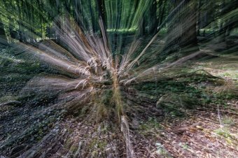 Photography "Luminous Way" by photographer Hervé Ramboz at Jose Art Gallery