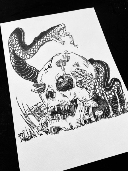 Venomous Offering Drawing - MZNTRP - Jose Art Gallery