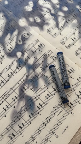 Additional view 3: Minimalism Flower Drawing Moonlit Sonata Abstract Pastel Music Art by illustrator Julia Shilo pastel paper 