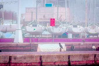 Fotografia "Miejski żeglarski", fotograf Sergio Luiz Cerezer Benetti Sergio w Jose Art Gallery