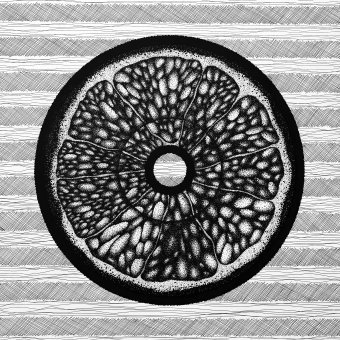 Black and white citrus pattern graphics
