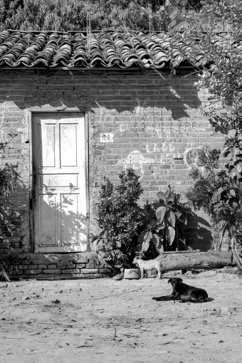 Fotografia "Velo del tempo", fotografo Sergio Luiz Cerezer Benetti Sergio alla Jose Art Gallery