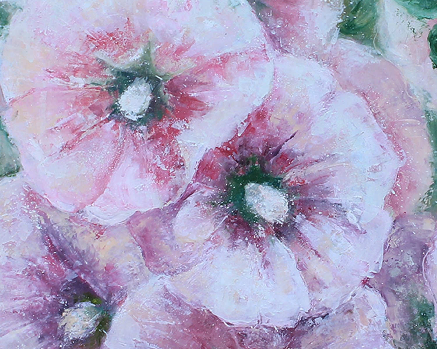 Pink Malva flowers. - order