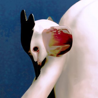 Sztuka cyfrowa "Codzienna inspiracja", artysta cyfrowy Sergio Luiz Cerezer Benetti Sergio w Jose Art Gallery