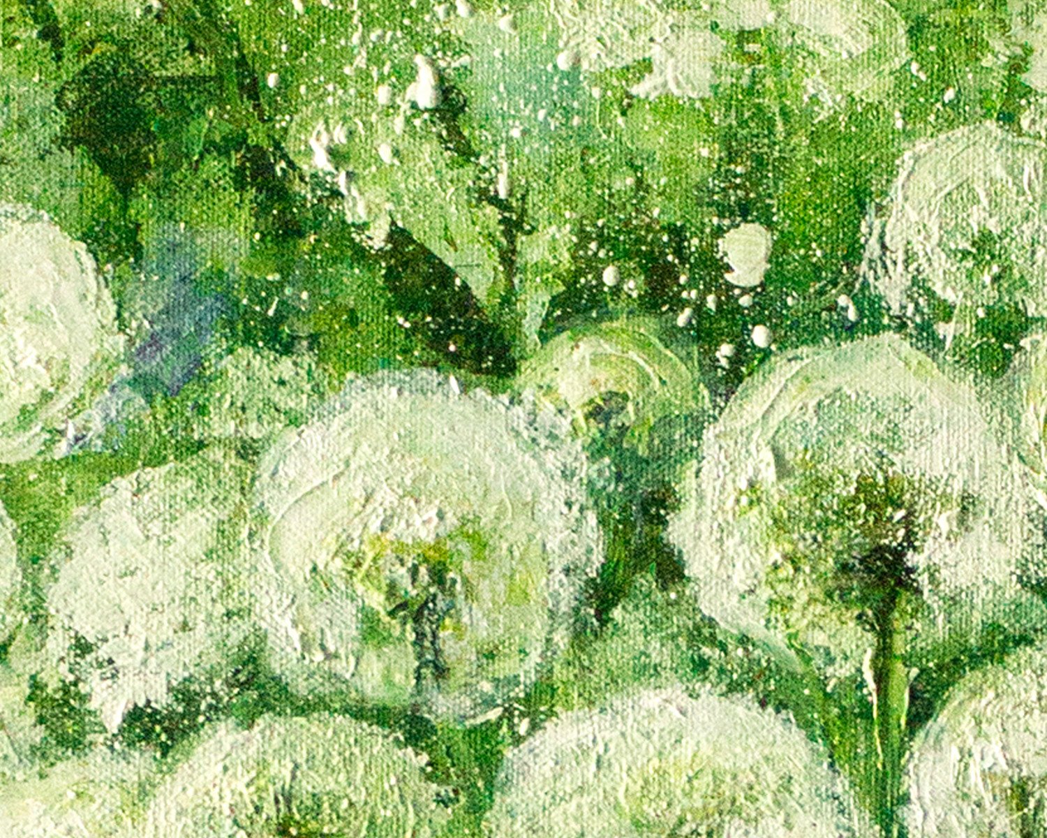 Dandelions - order