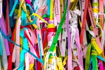 Фотографія "Гармонія в кольорах", фотограф Sergio Luiz Cerezer Benetti Sergio в Jose Art Gallery