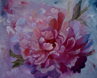 Peony Love