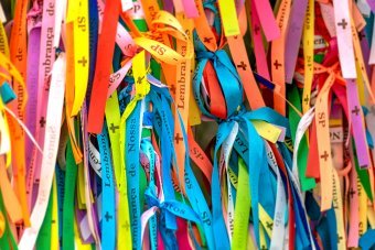 Фотографія "Веселка виразу", фотограф Sergio Luiz Cerezer Benetti Sergio в Jose Art Gallery