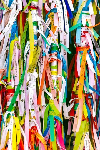 Fotografia "Vibrar com a Cor", fotograf Sergio Luiz Cerezer Benetti Sergio w Jose Art Gallery