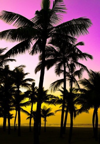 Digital Art "Tropical Summer" by digital artist Sergio Luiz Cerezer Benetti Sergio at Jose Art Gallery