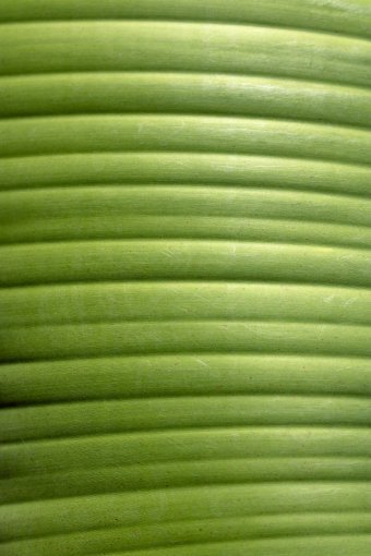 Fotografia "Fabuła życia", fotograf Sergio Luiz Cerezer Benetti Sergio w Jose Art Gallery