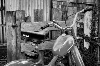 Fotografia "Odbicie wolności", fotograf Sergio Luiz Cerezer Benetti Sergio w Jose Art Gallery