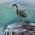 Waiting for Happiness in Stormy Seas – buy