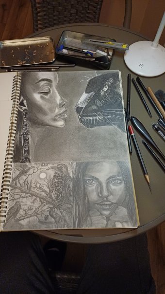 Graphique "Portrait en graphite de la richesse", illustrateur Andrii Ivanov graphite papier à la Jose Art Gallery