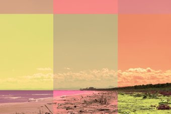 Art numérique "Dynamique Atlantique", artiste numérique Sergio Luiz Cerezer Benetti Sergio à la Jose Art Gallery