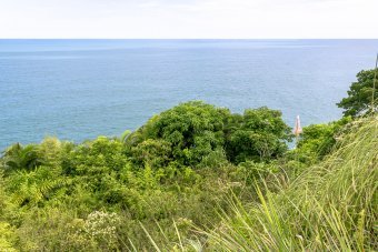 Fotografie "Schönheit der Atlantikwellen", fotograf/-in Sergio Luiz Cerezer Benetti Sergio in der Jose Art Gallery