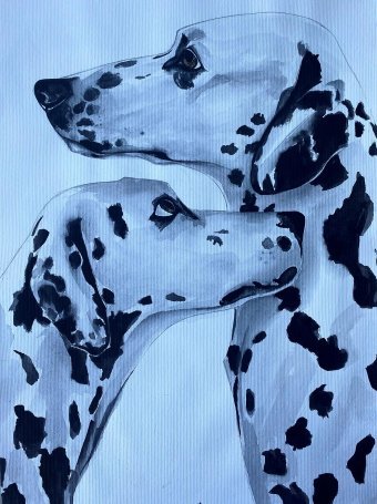 Affection and loyalty