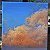 Golden sunset – painting
