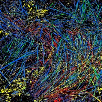 Fotografia "OUTSIDE. RYTHMES OF CHAOS.", fotograf FANERA PROJECT w Jose Art Gallery