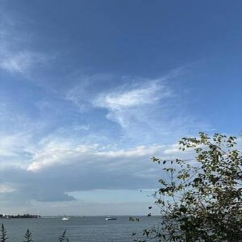 Fotografie "Benimm dich einfach natürlich", fotograf/-in Amanda Harris in der Jose Art Gallery