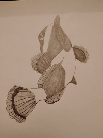 Drawing "My best animal artwork" by illustrator BOBBY-JOE COLE pencil paper at Jose Art Gallery