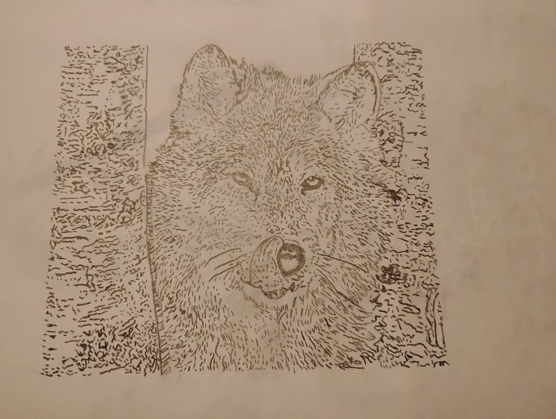 My best animal artwork Drawing - BOBBY-JOE COLE