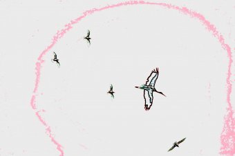 Art numérique "Vol des souvenirs", artiste numérique Sergio Luiz Cerezer Benetti Sergio à la Jose Art Gallery