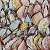 Pastel Tulips – buy