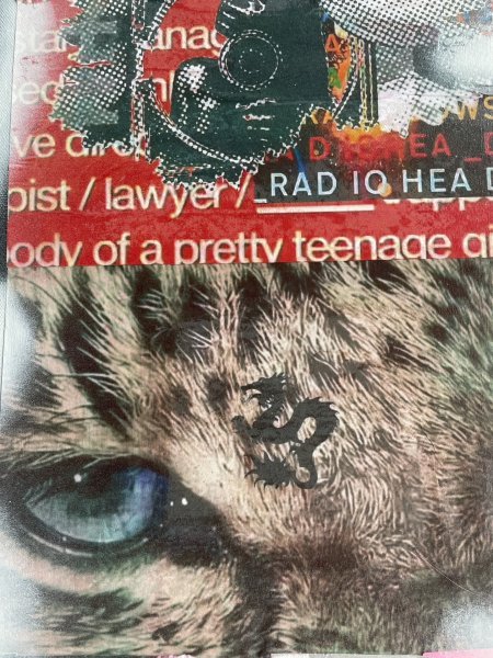 Additional view 1: Street Art Genre Painting Mutation: Street Art Meets Music Fusion by painter SWAGirl mixed method canvas 