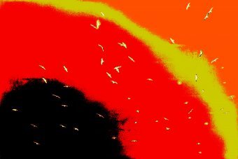 Art numérique "Vol d'espoir", artiste numérique Sergio Luiz Cerezer Benetti Sergio à la Jose Art Gallery