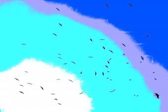 Art numérique "Nature sereine", artiste numérique Sergio Luiz Cerezer Benetti Sergio à la Jose Art Gallery