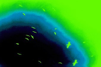 Art numérique "Vol poétique", artiste numérique Sergio Luiz Cerezer Benetti Sergio à la Jose Art Gallery