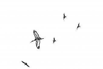 Art numérique "Les ailes de la persévérance", artiste numérique Sergio Luiz Cerezer Benetti Sergio à la Jose Art Gallery