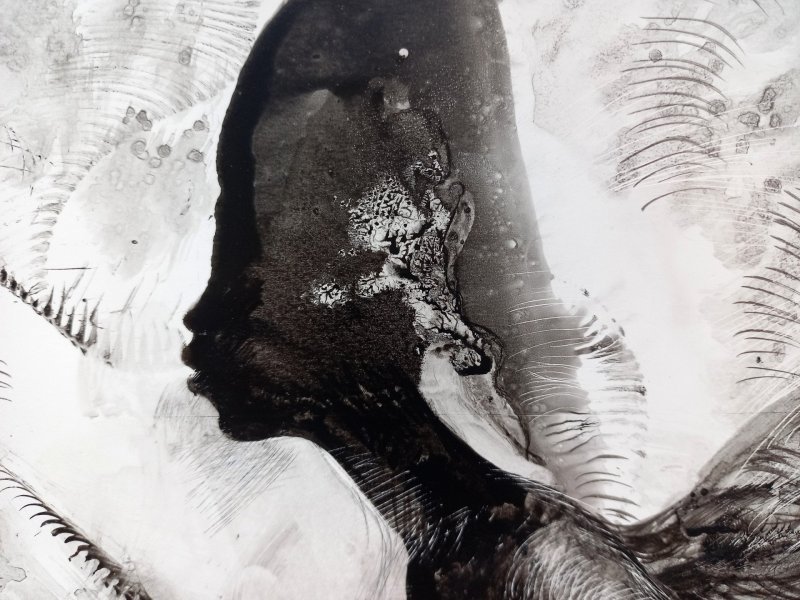 Zusätzliches Bild 1: Figurative Kunst Aktkunst Graphik "Transformation", illustrator Lana Korolievskaia Tinte Papier 