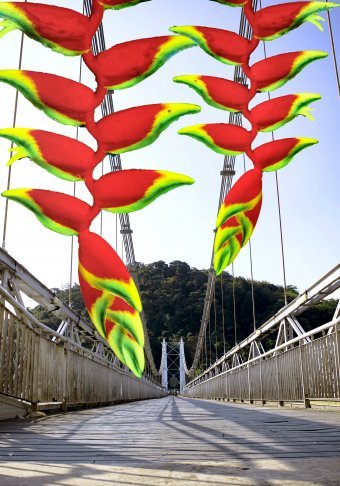 Fotografia "Vibrante e Natural", fotografo Sergio Luiz Cerezer Benetti Sergio alla Jose Art Gallery