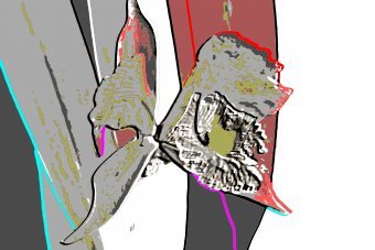 Arte digitale "Arte botanica moderna", artista digitale Sergio Luiz Cerezer Benetti Sergio alla Jose Art Gallery