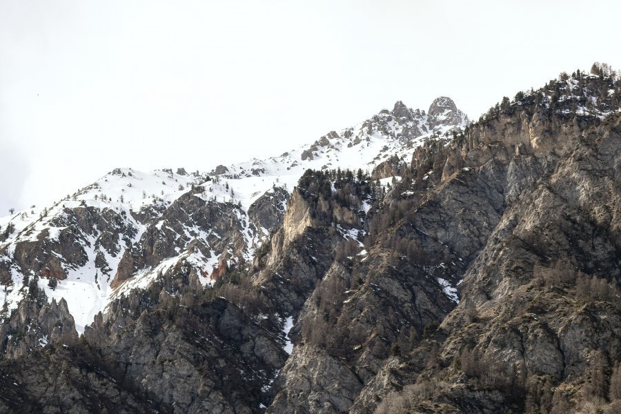 Moderno Natura Fotografia "Ascensione silenziosa" fotografo Sergio Luiz Cerezer Benetti Sergio 
