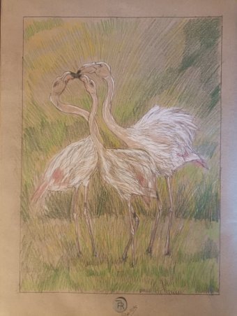 Drawing "Flamingos: Joy in the Sunny Meadows" by illustrator roberto ferrando pencil paper at Jose Art Gallery